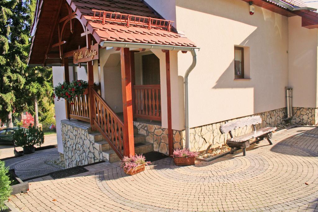 Willa Ostoja Świeradów-Zdrój Extérieur photo
